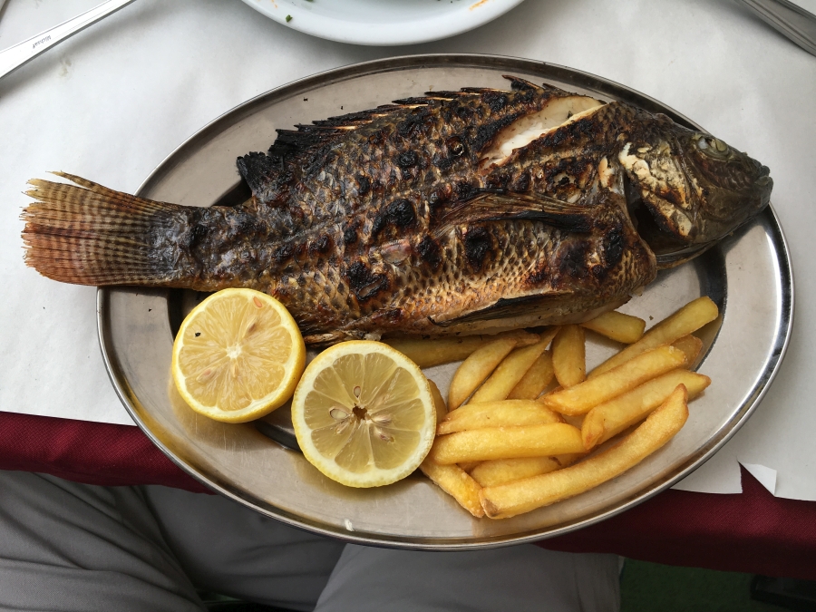 Silberner Teller mit gebratenem Petrusfisch, Pommes frites und Zitronenscheiben