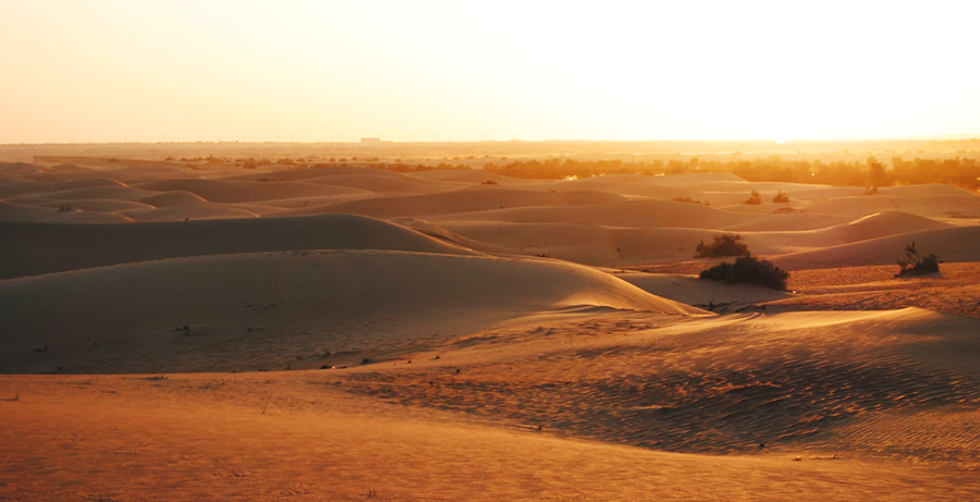 Sonnenuntergang in der Wüste - orangerot!