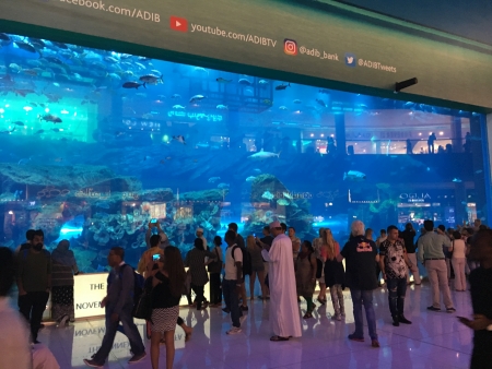 Das riesige Aquarium in der Dubai Mall erstreckt sich über 3 Stockwerke