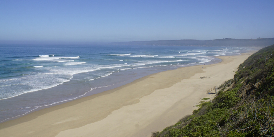 Ein Blick auf den endlos scheinenden Strand in Knysna
